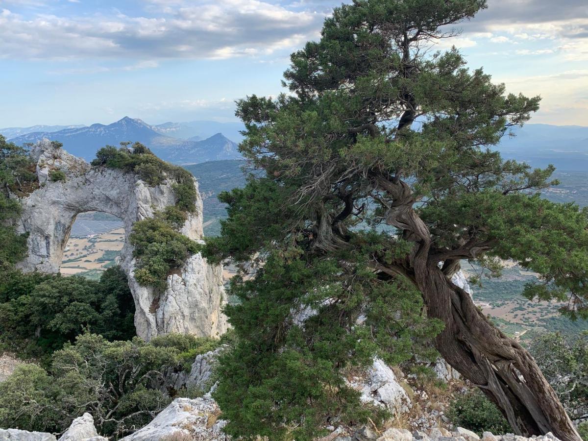 Sa Domu E Muru Galtellì Exteriér fotografie