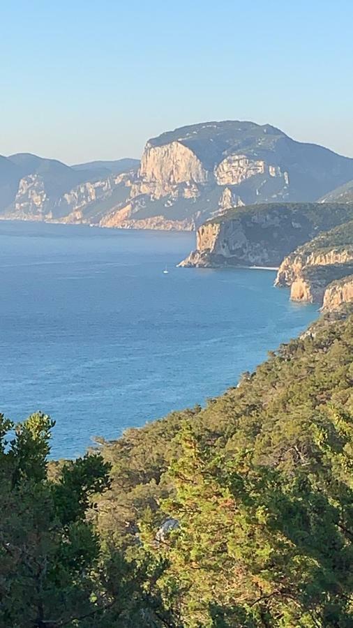 Sa Domu E Muru Galtellì Exteriér fotografie